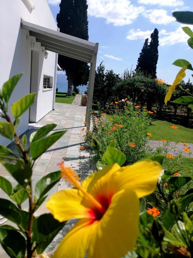 Villa Maria Epidaurus 外观 照片